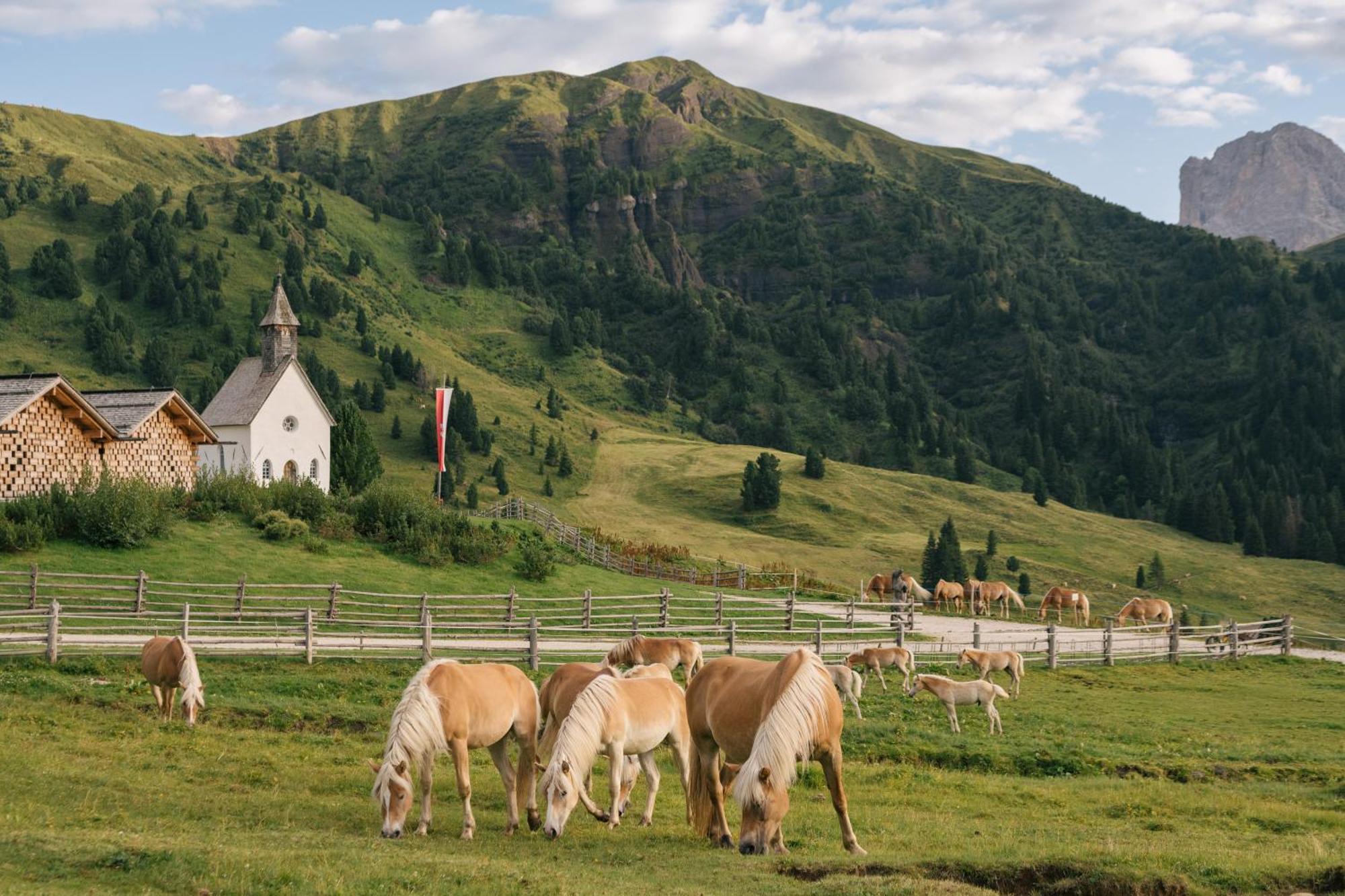 Zallinger Dolomites Seiser Alm Exterior foto